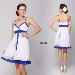Ever Pretty Floral White And Blue Dress